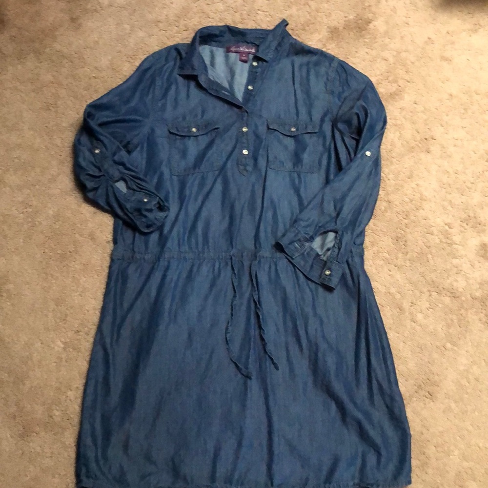 Jean skirt or dress